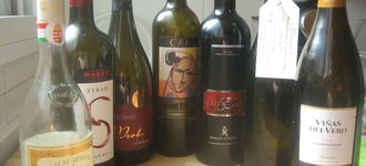 Cata de vinos I